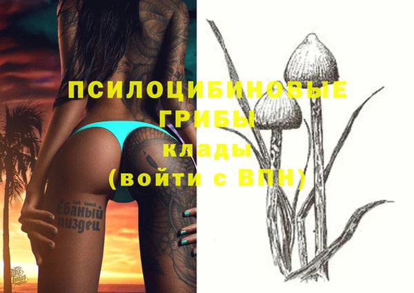 гашишное масло Аркадак