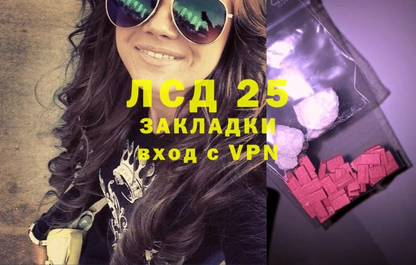 шишки Балахна