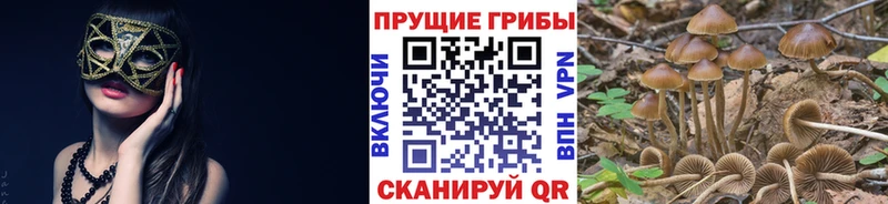 Галлюциногенные грибы мухоморы  Горняк 